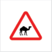 Sign: Wild animals (camel)
